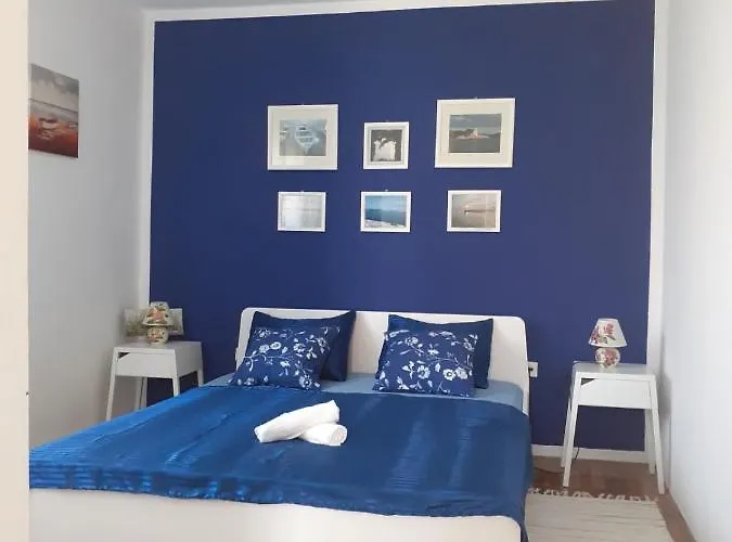 Dominik * זאדאר