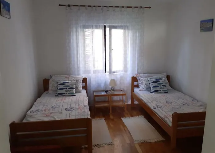 Dominik * זאדאר